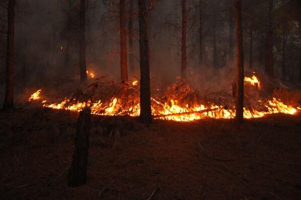 Orman yangınlarında son dakika haberleri Kritik bölgelerde son durum: Marmaris, Milas, Manavgat, Karacasu...