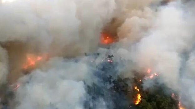 Marmaris'te orman yangını! Ekipler söndürmeye çalışıyor
