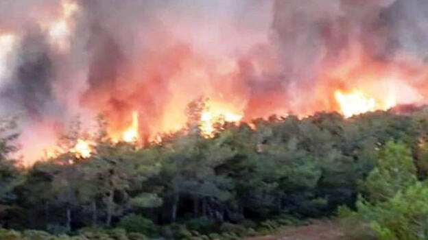 Muğla Marmaris'te orman yangını! 20 helikopter ve 14 uçak ile müdahale sürüyor: Bakanlar bölgede...