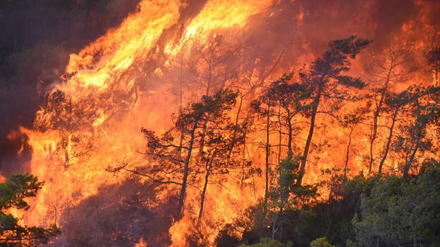 Marmaris yangınında 3. gün! Sabotajcı ormanı yaktığını itiraf etti... Bakan Koca bilançoyu duyurdu