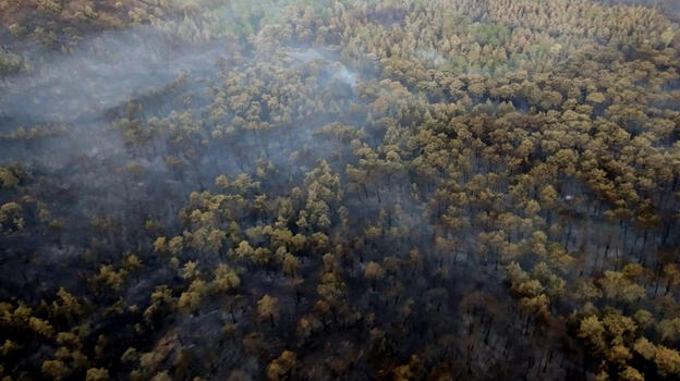 Marmaris'teki orman yangını tamamen kontrol altında