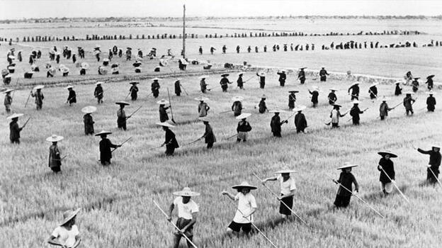 İnsanlık tarihinin en büyük dramı: Büyük Çin Kıtlığı! 55 milyon kişi hayatını kaybetti ülkede yamyamlık başladı...