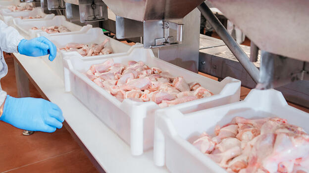 Tavuk eti üretimi yüzde 13,4 arttı