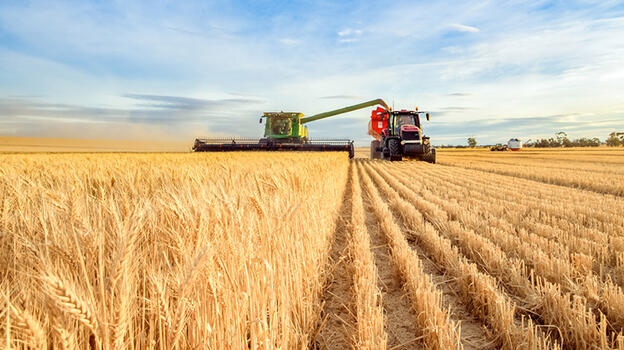 Tarım-ÜFE yıllık yüzde 157,89 arttı