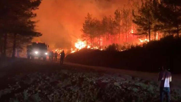 Marmaris'te orman yangını kontrol altına alındı!