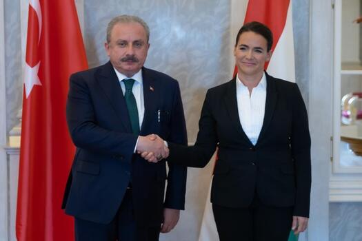 TBMM Başkanı Şentop, Macaristan Cumhurbaşkanı Novak ile görüştü