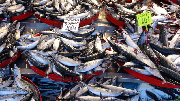 Balık fiyatları ile ilgili yeni gelişme! Tezgahlar doldu taştı: 'En uygun zaman'