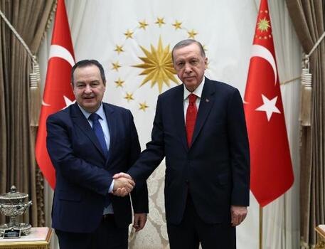 Cumhurbaşkanı Erdoğan, Sırbistan Dışişleri Bakanı Dacic'i kabul etti