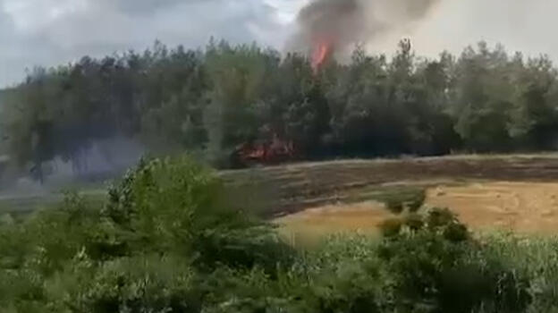 Adana'da, anız yangınında alevler ormana sıçradı