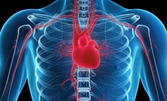 aşırı çalışan kalp sağlığı 3. derece hipertansiyon tedavi edilir veya edilmez