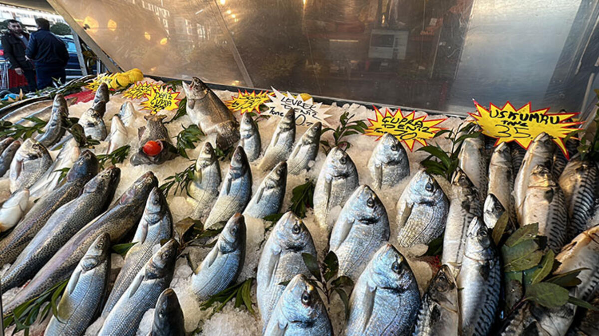 Balık fiyatları düştü Hamsinin kilosu 20 TL