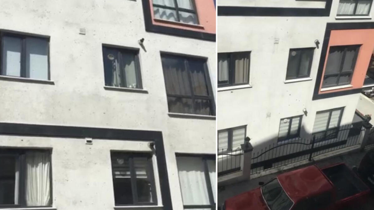 Kağıthane de toplu arı paniği kamerada Vatandaşlar pencereleri açamadı