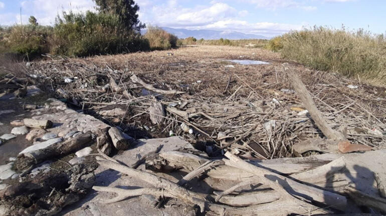 Menderes Nehrinde korkutan görüntü Eko sistem çökebilir
