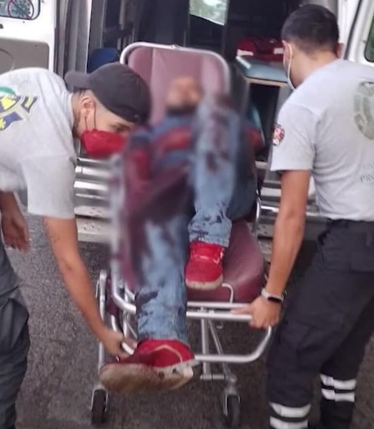 Meksikada kaplan dehşeti Bakıcısını öldürdü