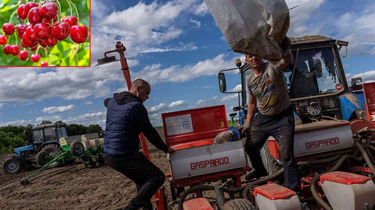 Ukraynalı çiftçilerden Rus askerlere şeytani tuzak: Büyük bir salgın başlattılar...