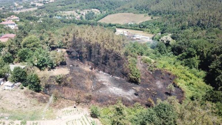İstanbulda orman yangını Çok sayıda ekip gönderildi