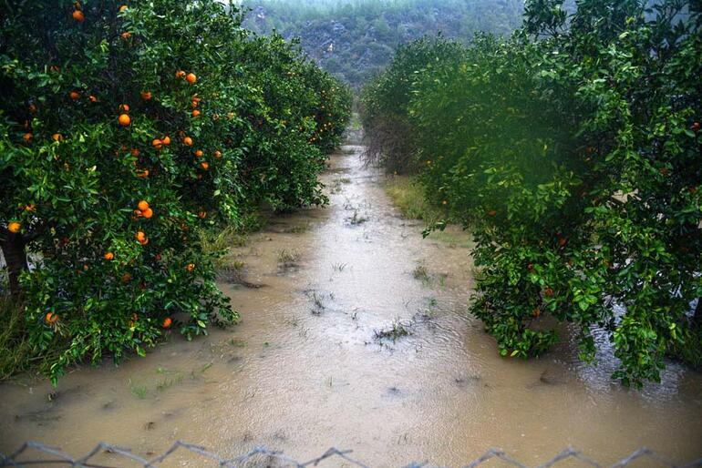 Sağanak yağış ve fırtına Antalyada hayatı durma noktasına getirdi Narenciye bahçelerini su bastı yollar kapandı