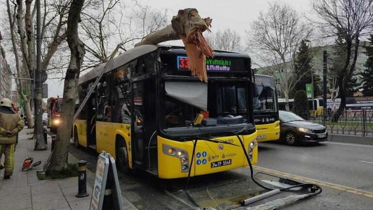 Fatih’te facianın eşiğinden dönüldü: İçinde yolcuların bulunduğu İETT otobüsü ağaca çarptı